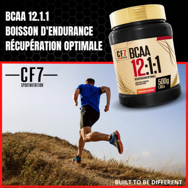 BCAA 12.1.1 – Poudre – 500g – CF7