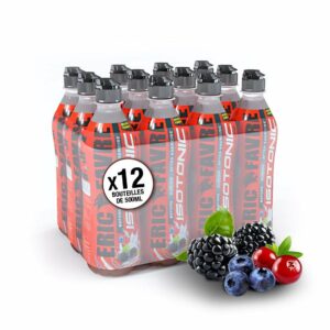 Boisson Isotonic Endurance – 12x500ml – Eric Favre