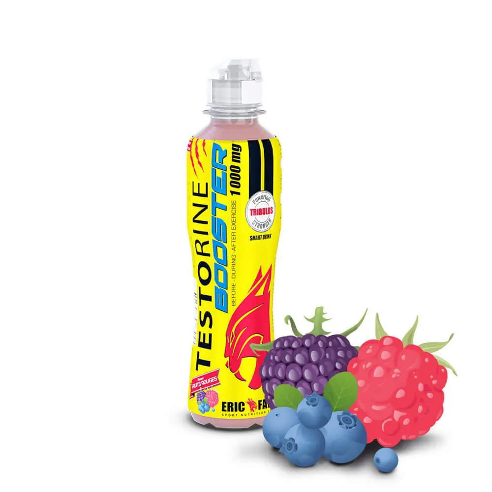 Boisson Isotonic Endurance – 500ml – Eric Favre