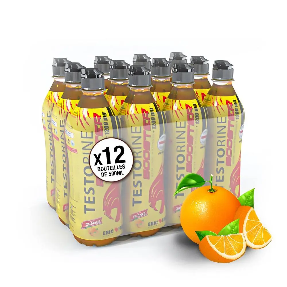 Boisson Isotonic Endurance – 12x500ml – Eric Favre