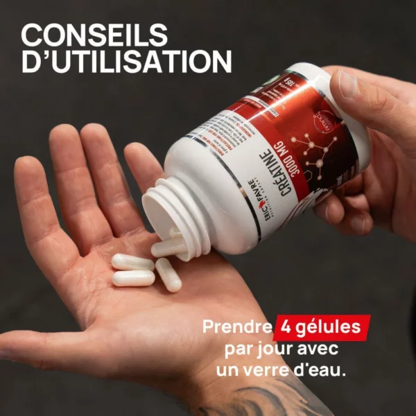 Créatine Monohydrate 3000mg – 120 Gélules – Eric Favre