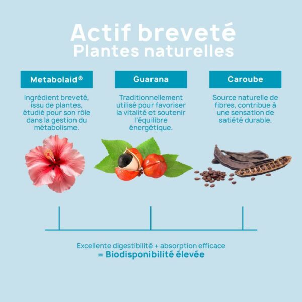 GLycéPlex 1 (GLP1) – 60 Gélules – Eric Favre