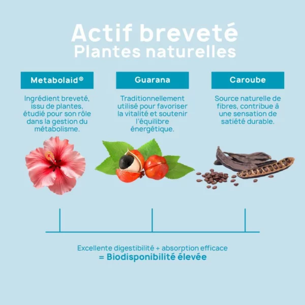 GLycéPlex 1 (GLP1) – 60 Gélules – Eric Favre