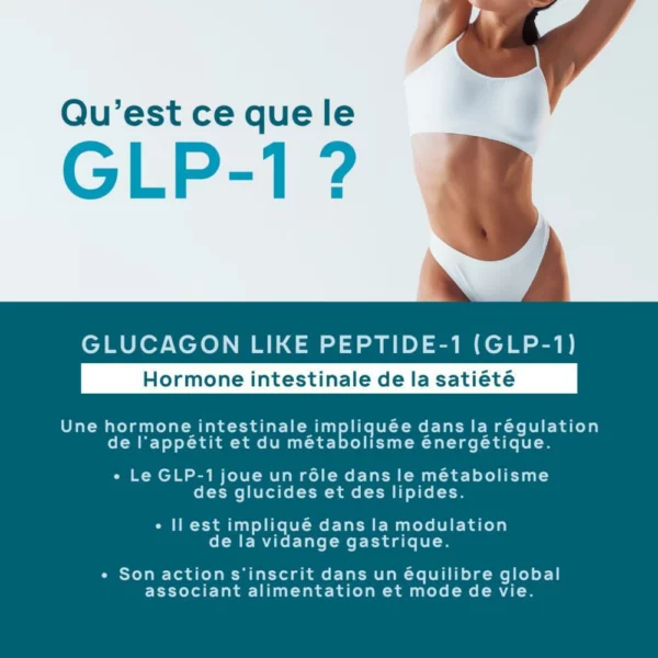 GLycéPlex 1 (GLP1) – 60 Gélules – Eric Favre