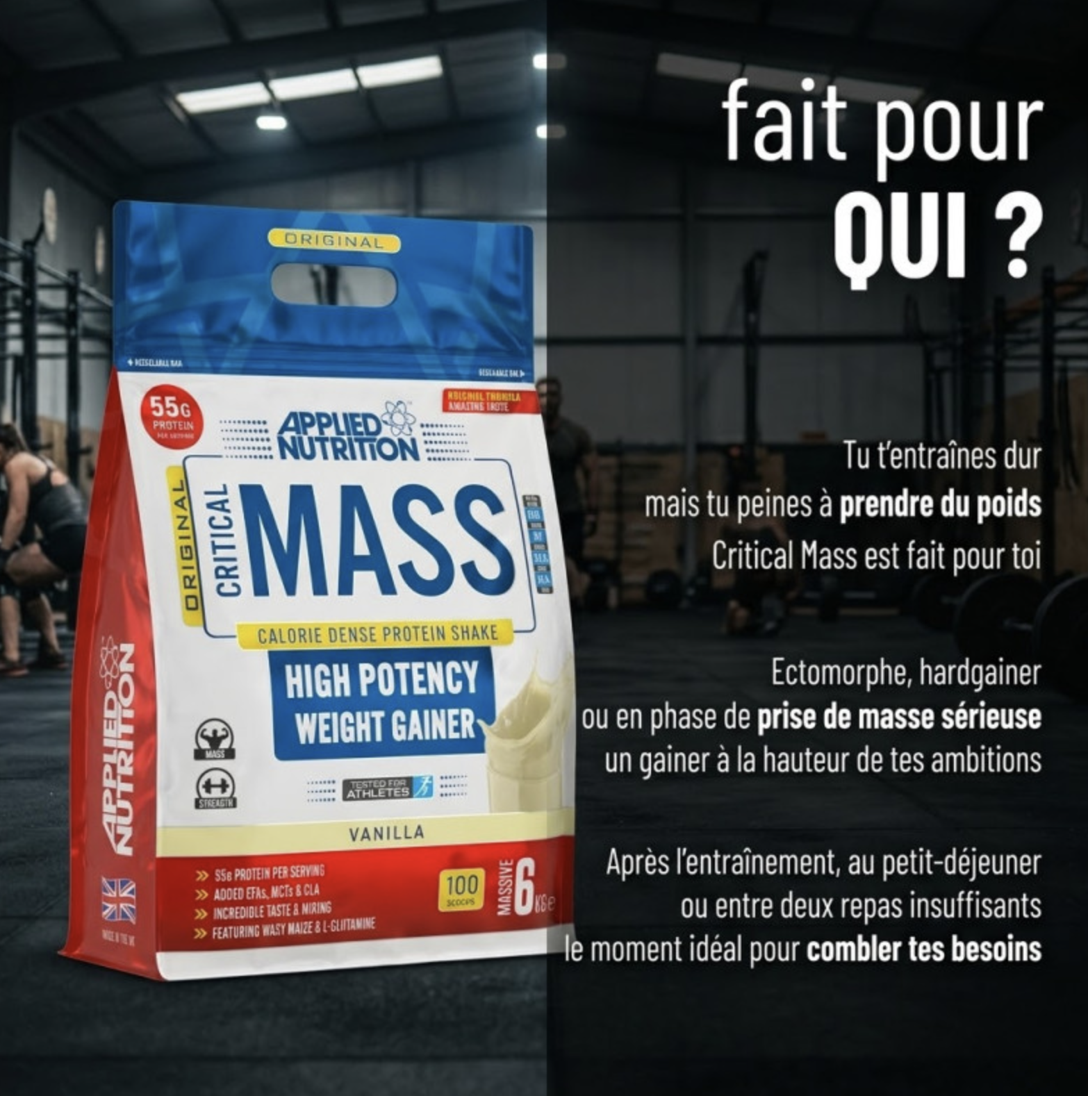 Critical Mass Original – 6Kg – Applied Nutrition Critical Mass Original – 6Kg – Applied Nutrition